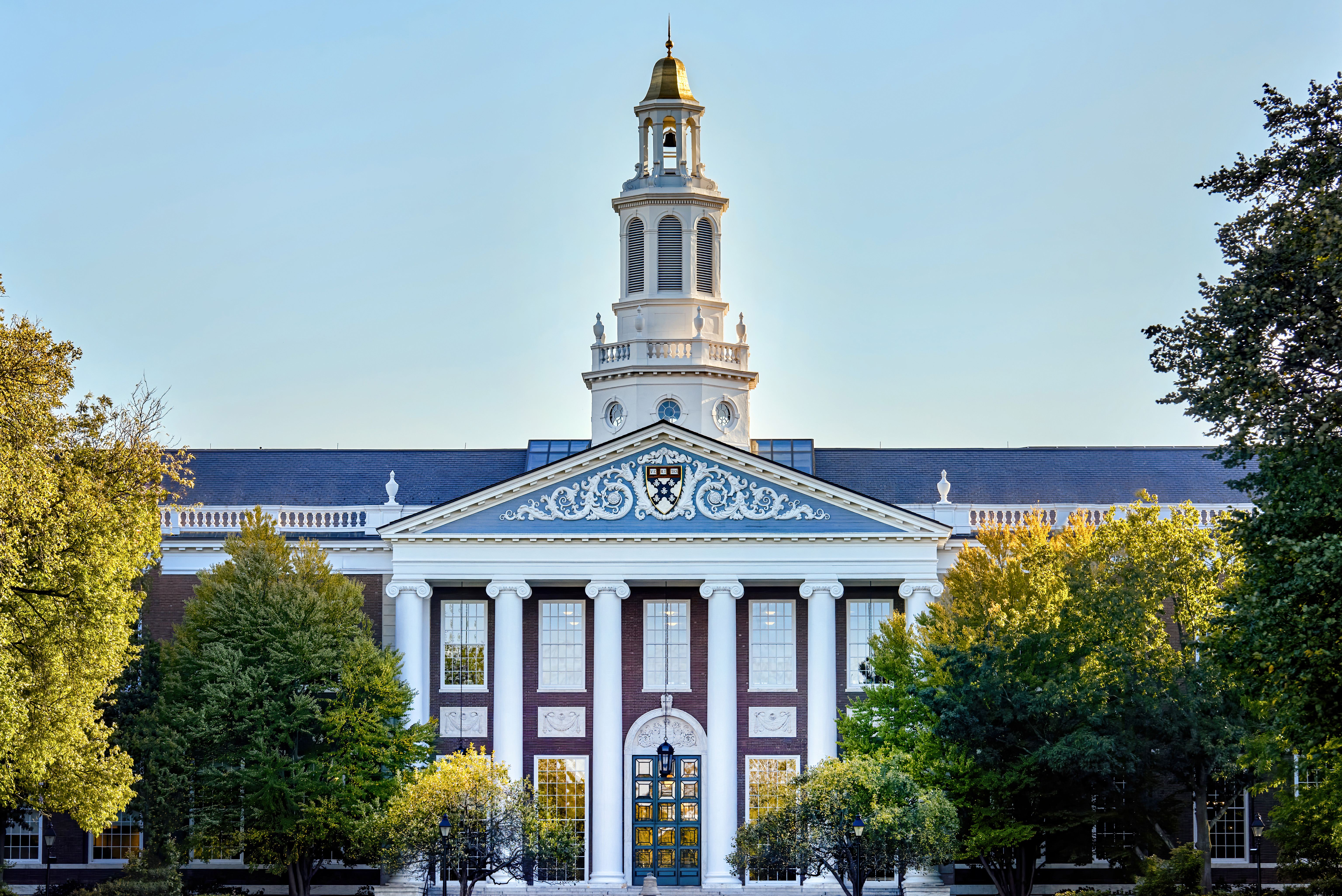 harvard University